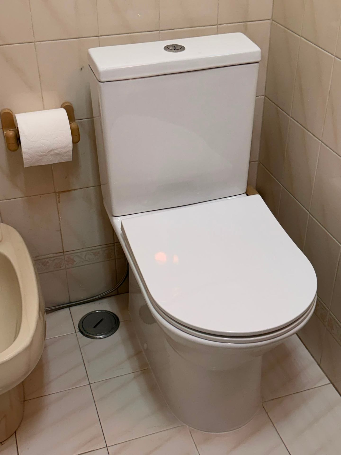 New toilet installed with dual-flush cistern